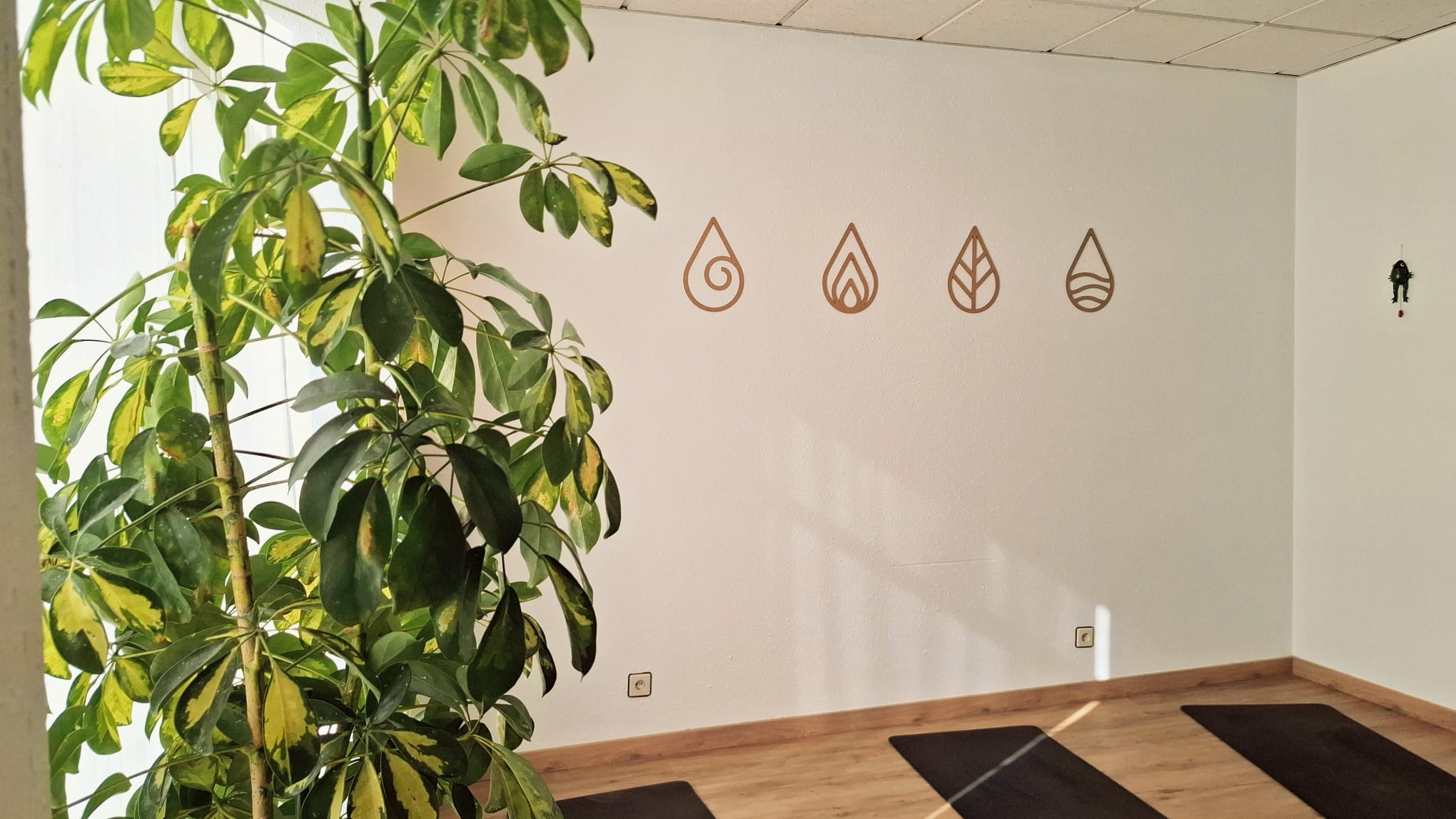 Nuestra sala — vista 3