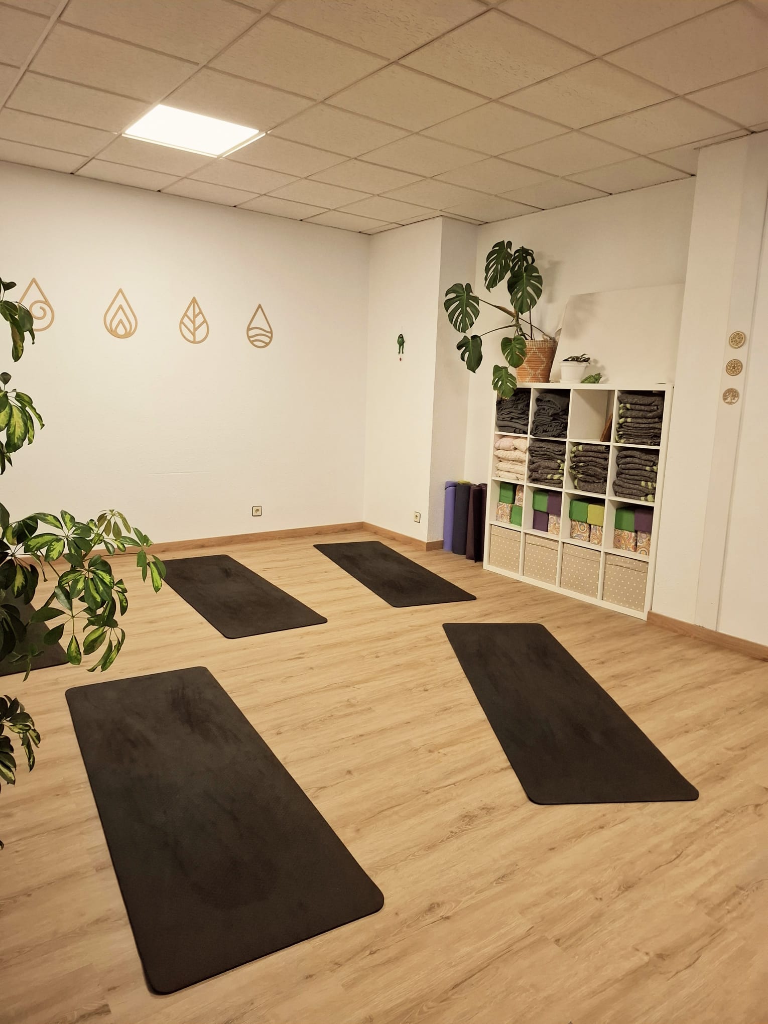 Nuestra sala — vista 4